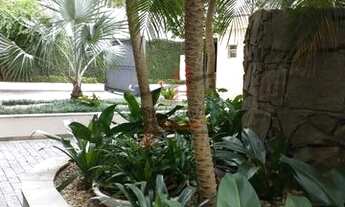 Imagem 5: SãO PAULO - Padrão - Tatuapé