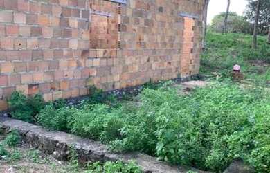 Imagem 5: Vendo terreno no povoado touro municipio de barra dos Coqueiros.