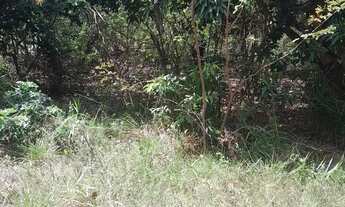 Imagem 2: Vendo este terreno itamaraca