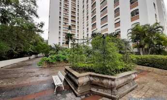 Imagem 7: APARTAMENTO - SUMARÉ - SP