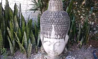 Imagem 2: Aluga-se quarto em Hostel Holístico