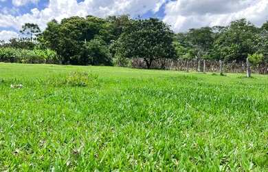 Imagem 5: LP- Terrenos demarcados e planos