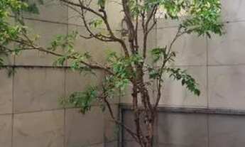 Imagem 7: Sobrado para Venda em São Paulo, CANGAIBA, 2 dormitórios, 2 banheiros, 1 vaga