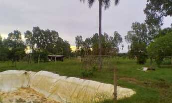 Imagem 4: Vendo sitio próximo anhadui 260 mil