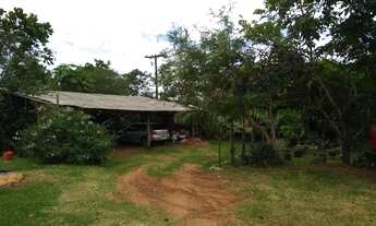 Imagem 2: São Paulo fazenda/Sítio 05 alqueires a 3 kilometros da cidade de Pérola no Paraná ótima lo