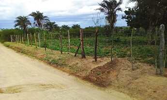 Imagem 2: Vendo Tarefa de Terra em Várzea da Roça