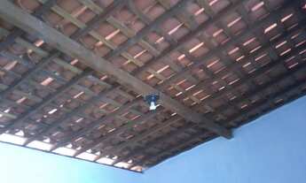 Imagem 4: Casa Igapó 2Q,Cz,Wc, Sala, 2WC(suíte), A. Serv, Garagem Coberta e Quintal Amplo