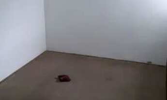 Imagem 6: SOBRADO - CAMPO BELO - SP