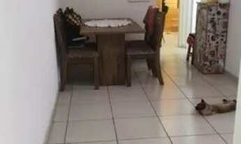 Imagem 2: APARTAMENTO - BUTANTÃ - SP