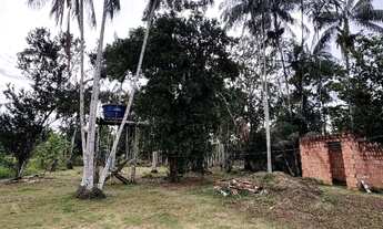 Imagem 3: Terreno no Lago do Limão