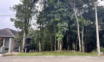 Imagem 6: Terreno - Bairro Carniel