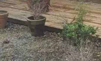 Imagem 3: Sobrado com 2 quartos à venda em Florianópolis/SC!