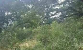 Imagem 5: Vendo lote 500 metros em Brumadinho 12,500