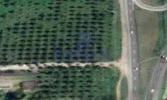 Imagem 4: Área, Centro, Amélia Rodrigues - R$ 4 mi, Cod: 68724