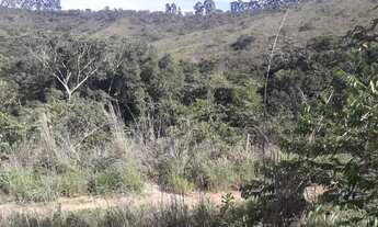Imagem 7: Chácara de 20 Hectares na beira da BR-130 no capão da onça
