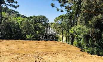 Imagem 4: Chácara com 1 Dormitorio(s) localizado(a) no bairro Mandassaia em Campina Grande do Sul