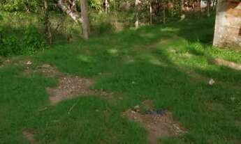 Imagem 2: Vendo ou troco este Terreno com área verde ação