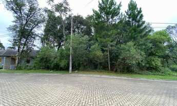 Imagem 3: Terreno - Bairro Carniel