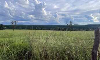 Imagem 7: Fazenda dupla aptidão município do Prata