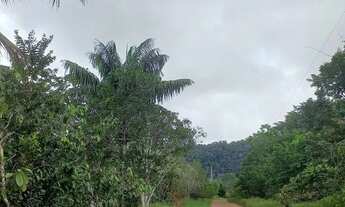 Imagem 7: Sitio com duas casas