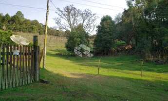 Imagem 5: Vendo chácara com 2 casa e muitas árvores frutíferas na Parada Crístal em Caxias do Sul