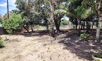 Imagem 5: Oportunidade chácara no Lindóia apenas 490 mil documentada