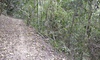 Imagem 6: Terreno à venda, 202000 m² por R$ 1.850.000,00 - Vila Progresso - Niterói/RJ