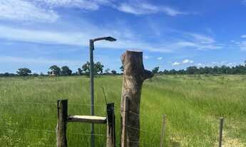 Imagem 7: VENDO FAZENDA 2.400 HAC PANTANAL REGIÃO DE MIMOSO MT