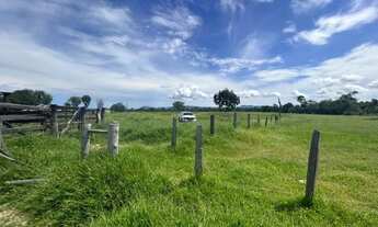 Imagem 6: VENDO FAZENDA 2.400 HAC PANTANAL REGIÃO DE MIMOSO MT