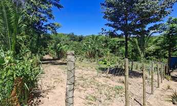 Imagem 7: Vendo Chacara Chácara com venda por R$220.000