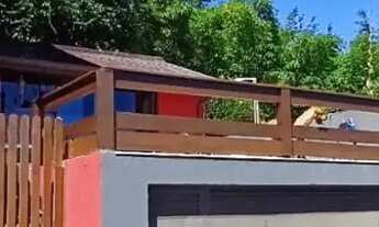 Imagem 3: Casa com 4 dormitórios no Ribeirão da Ilha