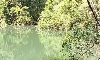 Imagem 5: Fazenda à venda, 00, Monte Alegre de Goiás, GO
