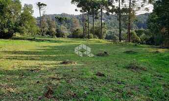 Imagem 15: Vendo chácara com 2 casa e muitas árvores frutíferas na Parada Crístal em Caxias do Sul