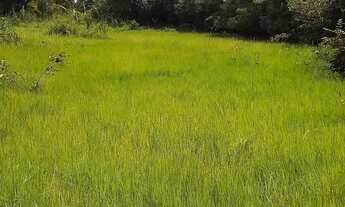Imagem 5: Fazenda à Venda em Matrinchã Goiás | 46 Alqueires
