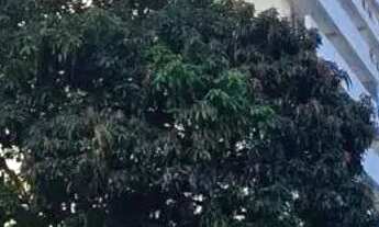 Imagem 2: Escritório Comercial à Venda ou para Locação ? Santana | 34 m²