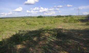 Imagem 4: Vendo Terreno em Ribeira do Pombal