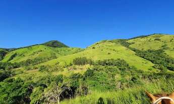 Imagem 7: FAZENDA NA PECUÁRIA A VENDA NO ESTADO DO PARANÁ - PR ?? Área Total: 421 Alqueires ou 1.018