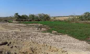 Imagem 7: VENDO FAZENDA 1.226 HECTARES MUNICIPIO DE JANGANDA MT