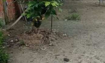 Imagem 7: VENDO TERRENO 50 MIL