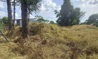 Imagem 3: Terreno de 1200 m² no Weissopolis - Pinhais/PR