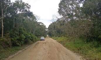 Imagem 6: Terreno são Francisco do sul