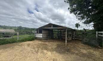 Imagem 6: Sítio com 3 dormitórios à venda, 196020 m² - Jardim Querência Do Turvo - Capão Bonito/SP
