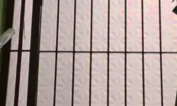 Imagem: Sobreloja no melhor ponto de Cascadura