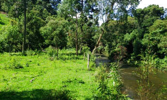 Imagem 6: Belíssimo Sítio entre Rio Rufino e Urubici