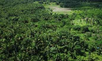 Imagem: FAZENDA 670 HECTARES CAXIAS