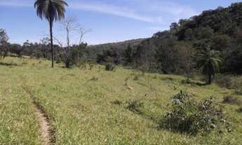 Imagem 3: Fazenda sem sede de 82ha,nascente e córrego nos fundos,Jaboticatubas(Temos varias opções)