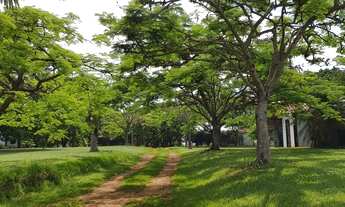 Imagem 2: Sítio à venda - Porto Feliz - SP