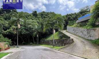 Imagem 4: Excelente Oportunidade Granja Viana