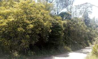 Imagem 5: Área - Travessa da Índio Tibiriça