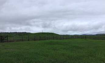 Imagem 2: FAZENDA VALE DO BOI APTDÃO PECUARIA
